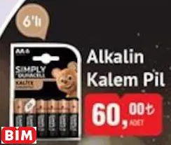 ALKALİN KALEM PİL ALKALİN KALEM PİL